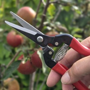 Fruitschaar ARS 300LR 19 cm, recht, rood