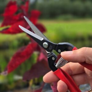 Fruitschaar ARS 300LR 19 cm, recht, rood