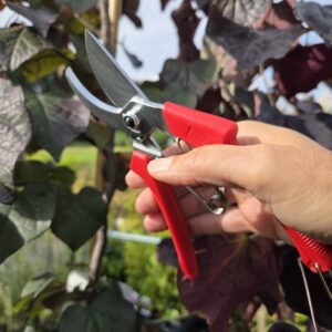 Fruitschaar ARS120DX