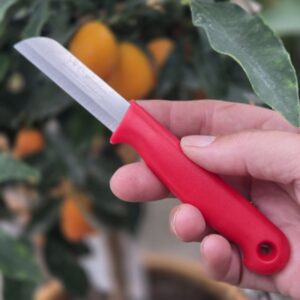 Bandstaal mes rood 65mm