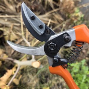 Rozenpresenteerschaar K-0750