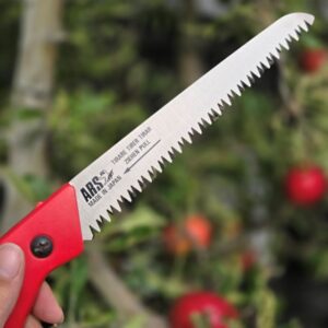 ARS snoeizaag incl. holster.