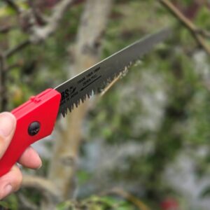 ARS snoeizaag incl. holster.