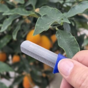 Bandstaal mes blauw ronde top